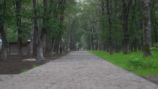 На 50% выполнено благоустройство Парка ветеранов в Вологде